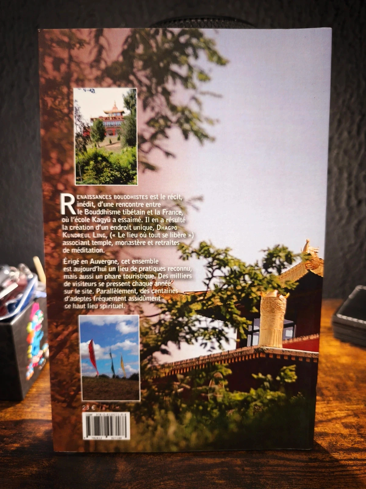 Boeddhistische renaissance – photo 2